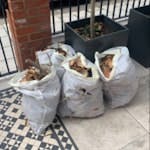 4 medium bags of garden waste leaves, cut branches SW4