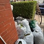 garden waste, 16 bags, 1 trunk leaves and twigs, 12 medium size bags, 4 carrier bags, one small trunk, all very light SW11