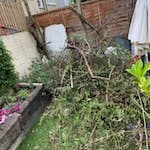 garden waste, cut down tree a tree I have cut down in my back garden lots of branches and twigs etc SW8