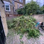 Large amount of garden waste A load of branches SW8