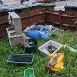 Rubbish from garden SE23