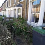 garden waste - privet cuttings garden waste. all privet hedge cuttings from front garden. easy front garden access. can be anytime today or tomorrow please N17