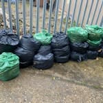 Garden waste mostly  leaves Garden waste mostly leaves all bagged and ready to collect SE20