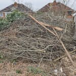 Garden waste tree branches Tree branches removal or shredder service required and some garden rubbish removal seen in pictures B44
