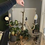 brass chandeliers 9-10 brass light fittings. decent condition - would need cleaning and some work to make useable N1